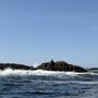 Photo of Coastal Charters