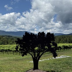 Fallen Tree Vineyard