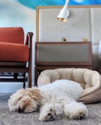 Portola Hotel & Spa at Monterey Bay by null