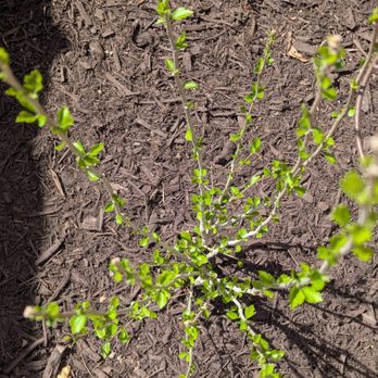 Hernandez landscaping services - Landscaping Near Me Hernandez landscaping services - Landscaping Near Me