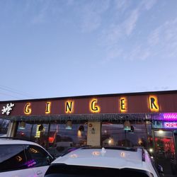 Ginger - Outside