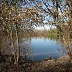 Parco Palustre - Parco