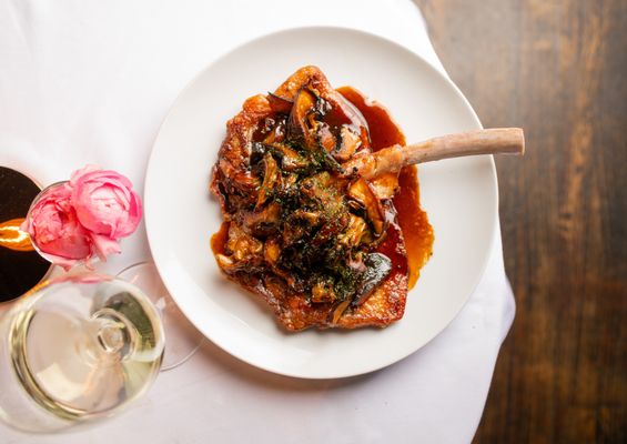 Tucci New York City by null