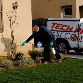 Tech Pros Pest Control, Inc - John spraying for pest. - Pest Control Near Me Tech Pros Pest Control, Inc - John spraying for pest. - Pest Control Near Me