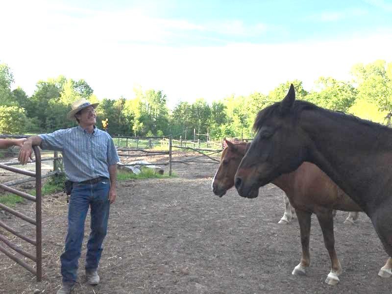 Gentle Reins Farm - equestrian in Stockbridge, MI