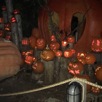 Jack-O-Lantern Spectacular - Festivals Near Me - Providence, Rhode Island Jack-O-Lantern Spectacular - Festivals Near Me - Providence, Rhode Island