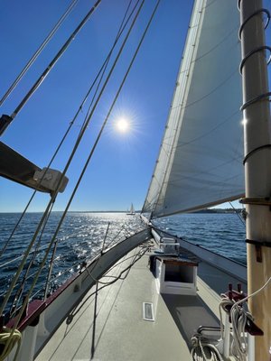 Sightsailing by null