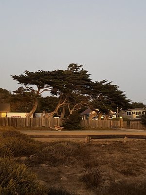 Cambria Beach Lodge by null