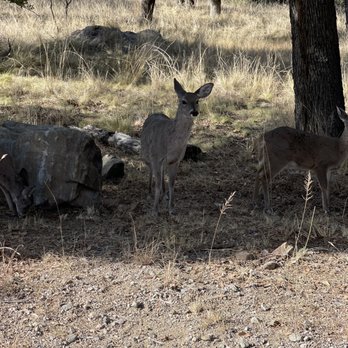 Bog Springs Campground - Campgrounds Near Me - Madera Canyon, Arizona