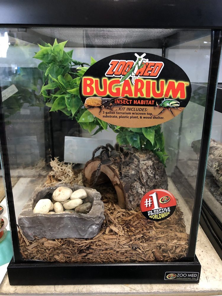 THE PET SHOPPE 50 Photos & 56 Reviews 2144 Springs Rd, Vallejo, CA