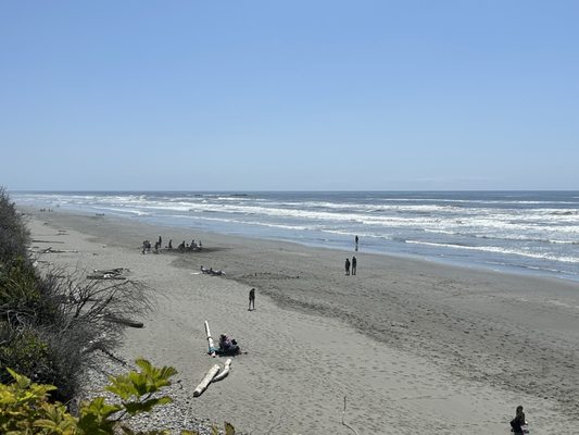 Kalaloch Campground by null