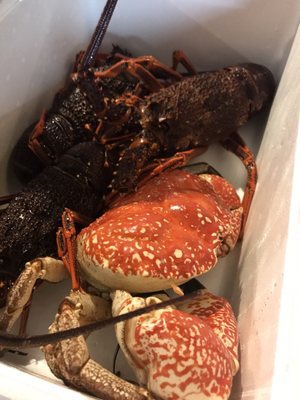 D&K Live Seafood by null