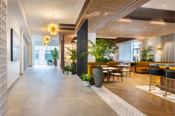 The Moran CITYCENTRE NEWLY RENOVATED by null