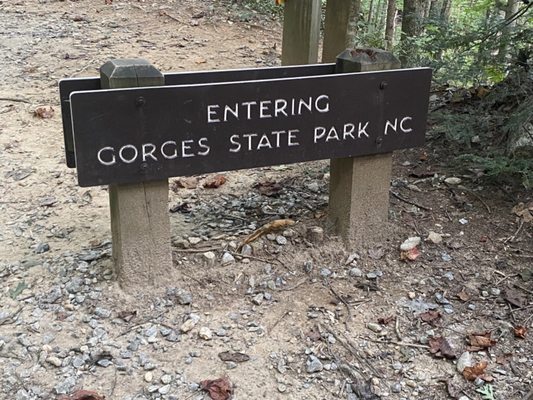 Gorges State Park by null