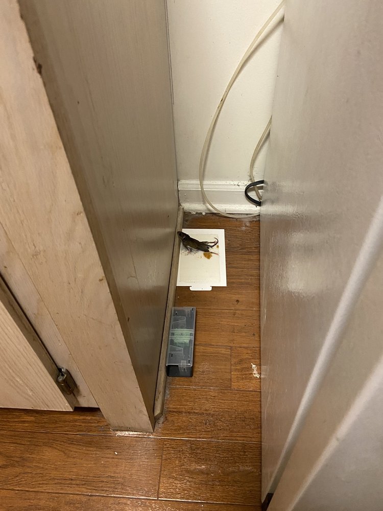 ASHMORE BRIDGE ESTATES APARTMENT HOMES 16 Photos 423 West Butler Rd