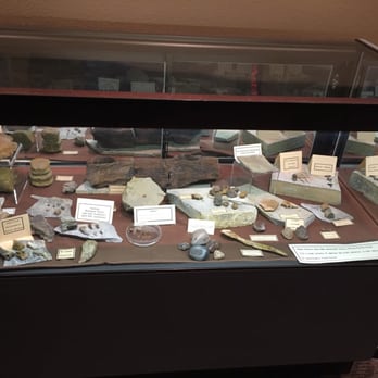 Glendive Dinosaur and Fossil Museum - Exhibit. - Museums Near Me - Glendive, Montana Glendive Dinosaur and Fossil Museum - Exhibit. - Museums Near Me - Glendive, Montana