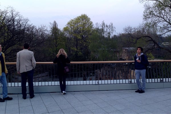 Bikini Berlin by null