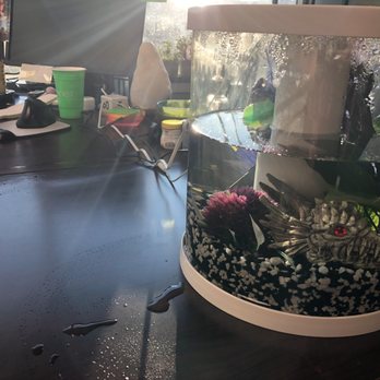 PetSmart - Almost half the water leaked from tank to desk (this is after I mopped up the desk and threw away all the paper office products. - Pet Stores Near Me - Anchorage, Alaska