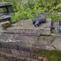 Chimneys & More