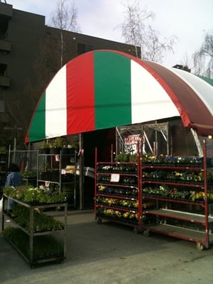 Tony's Market by null