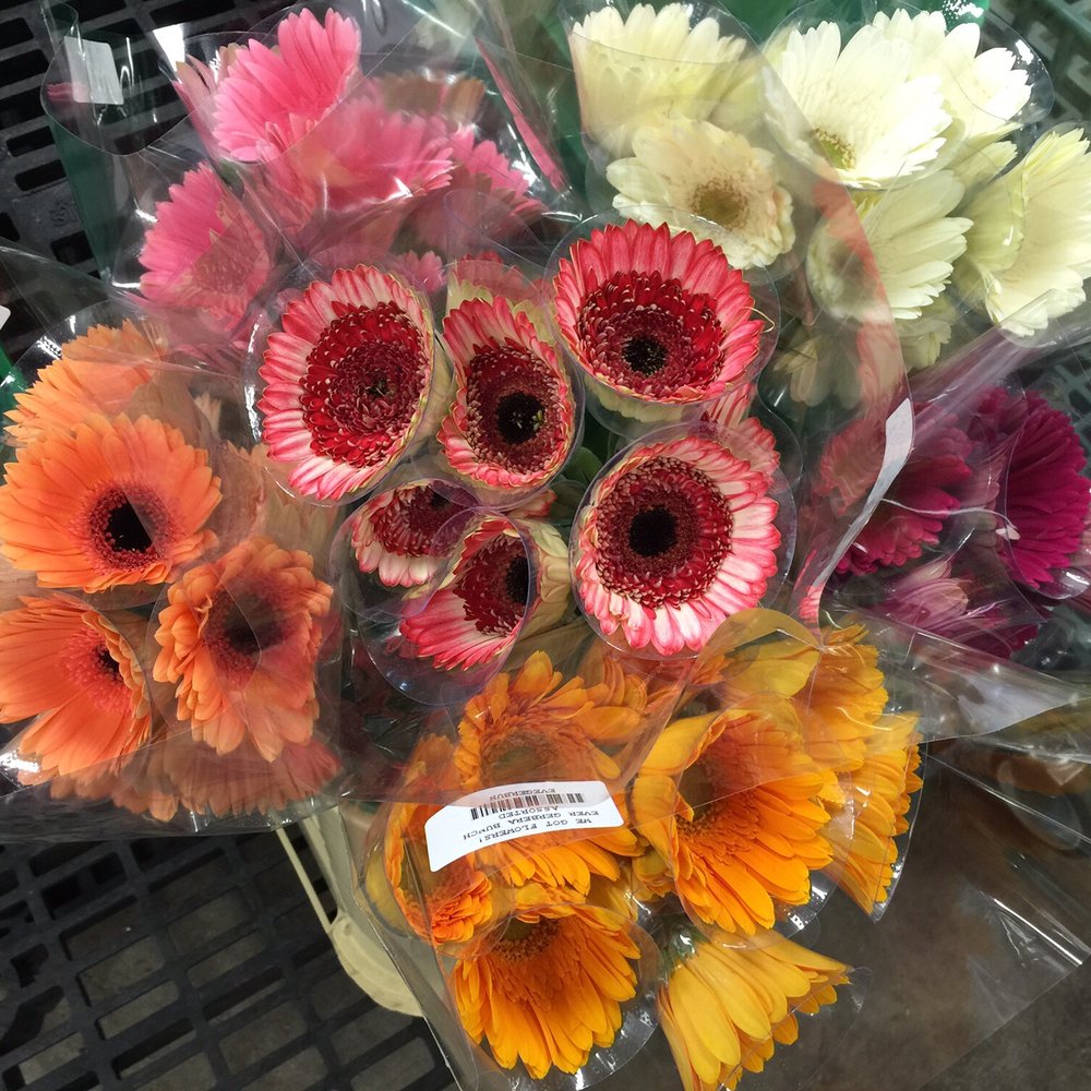 We Got Flowers - Florists Near Me - Phoenix, Arizona We Got Flowers - Florists Near Me - Phoenix, Arizona