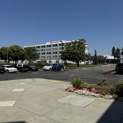 Mission Peak Orthopaedic Medical Group - View of the parking lot and St Rose Hospital next door