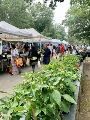 Portland Farmers' Market by null
