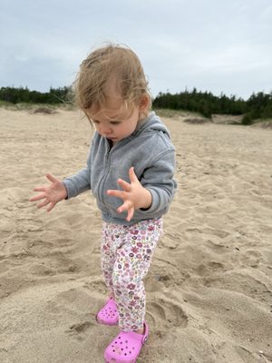 Petoskey State Park by null