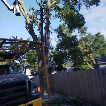 Ruby's Tree Service - Tree Services Near Me - Lansing, Michigan