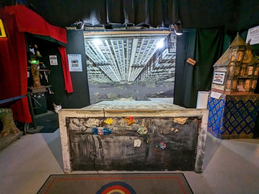 The Freakybuttrue Peculiarium and Museum by null