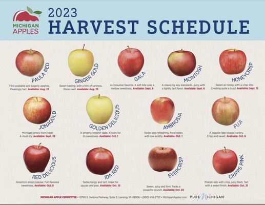 Klein Cider Mill & Market