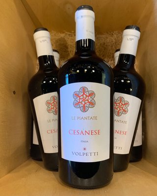 Everyday Wines by null