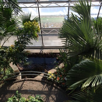 Schokoladenmuseum - The tropical cacao greenhouse. Careful it's actually rainforest conditions in there! - Museums Near Me - Cologne, NW Schokoladenmuseum - The tropical cacao greenhouse. Careful it's actually rainforest conditions in there! - Museums Near Me - Cologne, NW