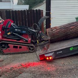 Tailored Tree Service - Ready to move. This tree worked hard for many years and now it will be beautiful slabs.