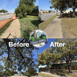 Grass Dawgz - Clean tree trim job for Payment Alliance Co! Opened the walkway and freshened the whole front. Thanks for choosing GrassDawgz!