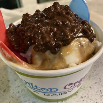Wilton Creamery - He's not worth it - 1 Scoop of Ice Cream with Toppings - Ice Cream & Frozen Yogurt Near Me - Wilton Manors, Florida Wilton Creamery - He's not worth it - 1 Scoop of Ice Cream with Toppings - Ice Cream & Frozen Yogurt Near Me - Wilton Manors, Florida