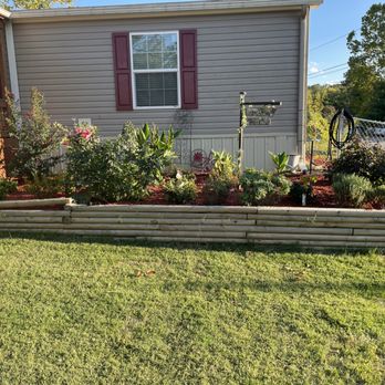 Mario Saenz Landscaping Services - AFTER - Tree Services Near Me Mario Saenz Landscaping Services - AFTER - Tree Services Near Me