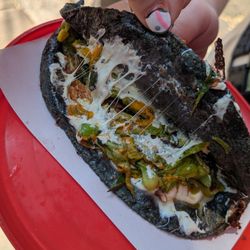 Jenni's Street Quesadillas - Squash Blossom