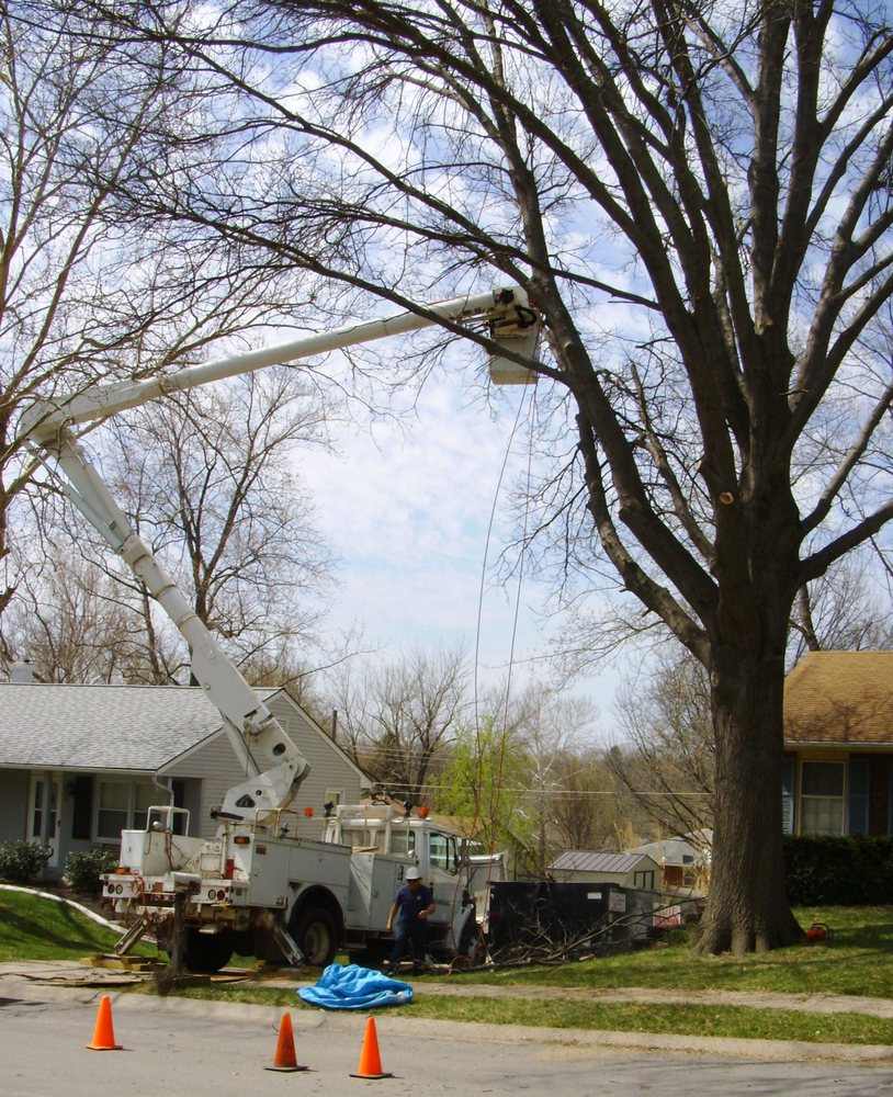 TJ's Tree Services - tree service in Kansas City, MO