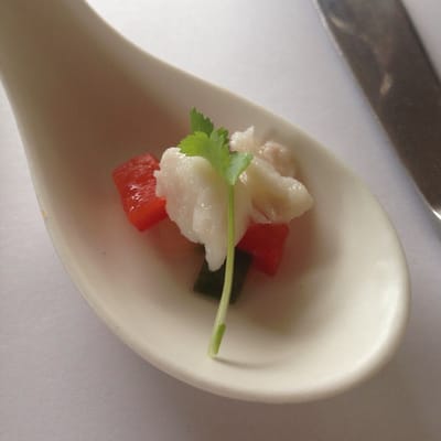 Star of Greece by null