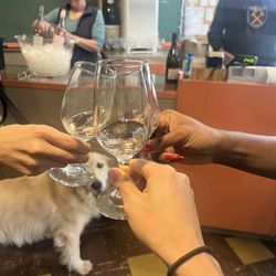 Wine tasting