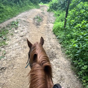 Rolling Hills Ranch - Tess - Horseback Riding Near Me - Bridgeville, Pennsylvania Rolling Hills Ranch - Tess - Horseback Riding Near Me - Bridgeville, Pennsylvania