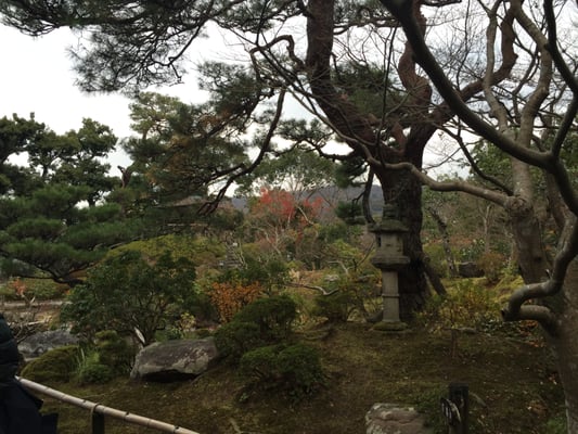 Yoshikien Garden by null