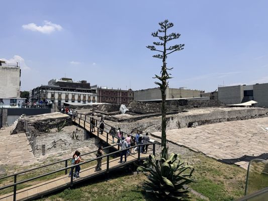 Templo Mayor Museum by null
