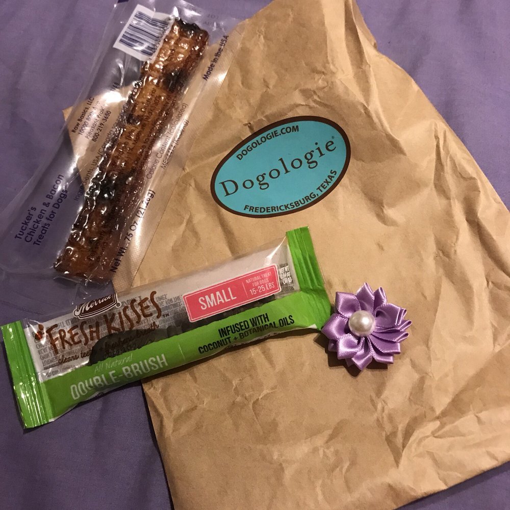 Dogologie - Pet Stores Near Me - Fredericksburg, Texas