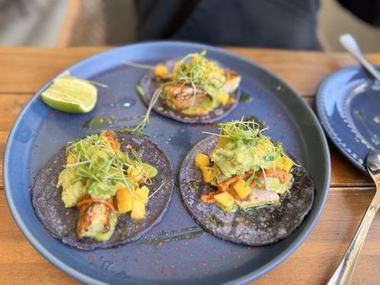 Octopus Baja by null