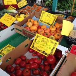 Fox Run Farm - Tomatoes!!!