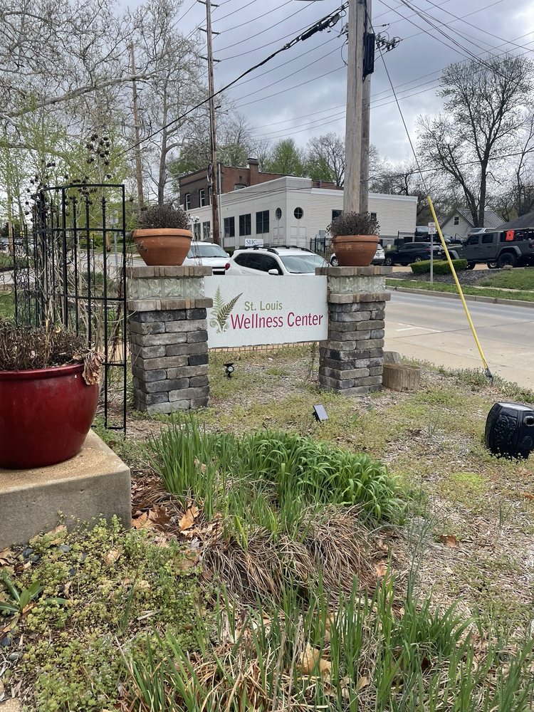 St Louis Wellness Center - grief counselor in Saint Louis, MO