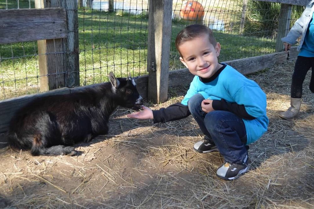 Vinewood Preschool - childcare center in Lodi, CA