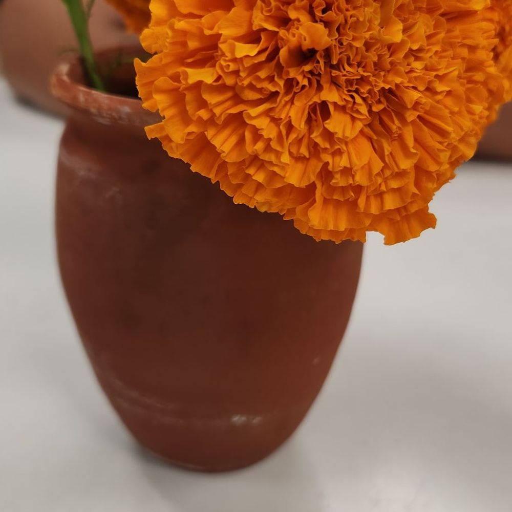 Yoyo's Botaneria - Decor - Desserts Near Me - Cherryland , California Yoyo's Botaneria - Decor - Desserts Near Me - Cherryland , California